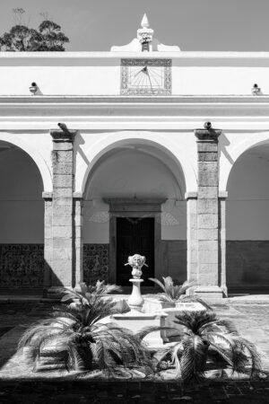 Mosteiro da Cartuxa – Foto 116