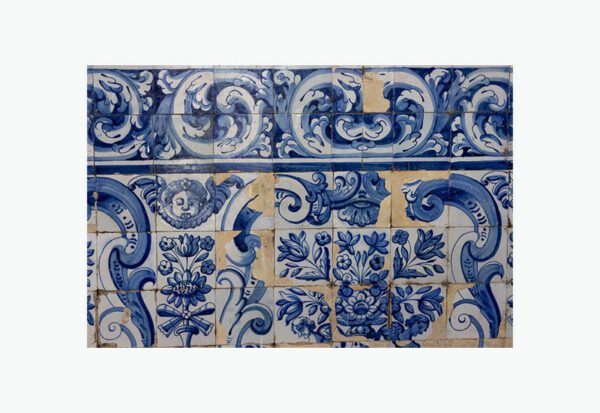 Mosteiro da Cartuxa - Foto 118