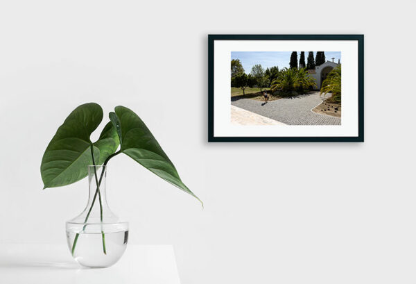 Mosteiro da Cartuxa - Foto 121