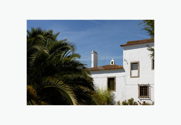 Mosteiro da Cartuxa - Foto 122