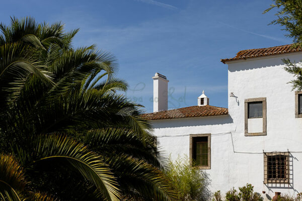 Mosteiro da Cartuxa - Foto 122