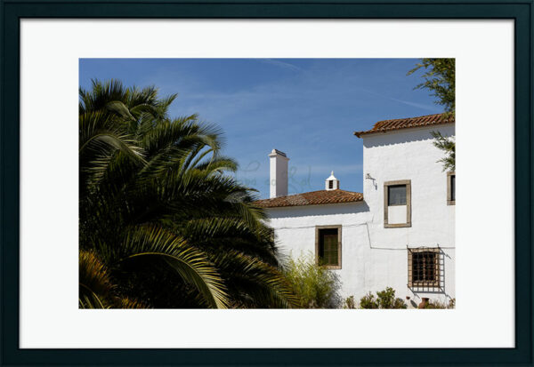 Mosteiro da Cartuxa - Foto 122