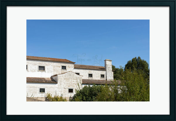 Mosteiro da Cartuxa - Foto 125