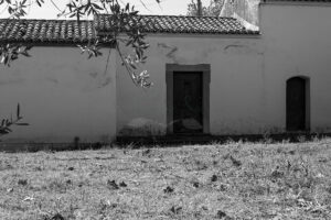 Mosteiro da Cartuxa – Foto 126