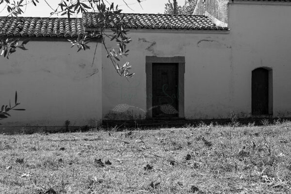 Mosteiro da Cartuxa - Foto 126