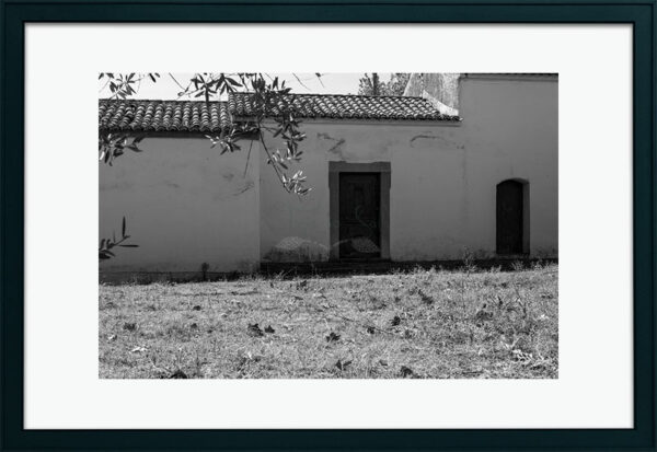 Mosteiro da Cartuxa - Foto 126