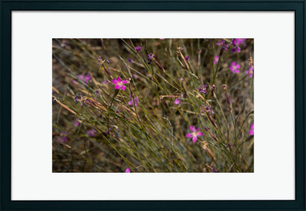 Aldeia de Sortelha - Foto 31