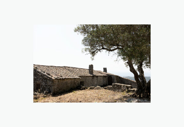 Aldeia de Sortelha - Foto 33