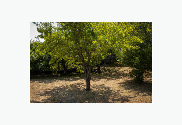 Aldeia de Sortelha - Foto 36