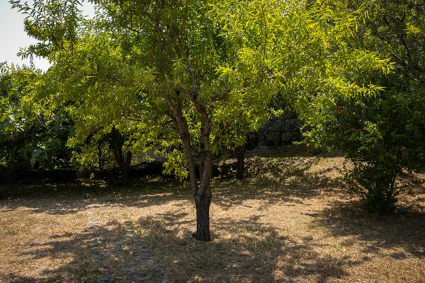 Aldeia de Sortelha - Foto 36