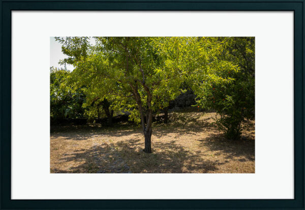 Aldeia de Sortelha - Foto 36