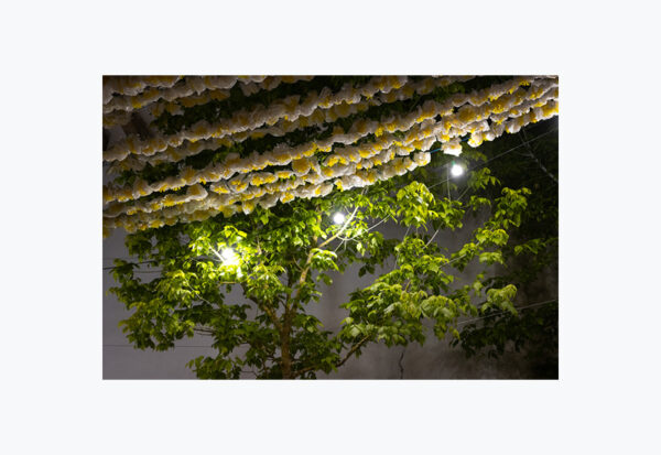 Alenquer à noite - Foto 15