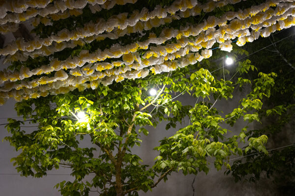 Alenquer à noite - Foto 15