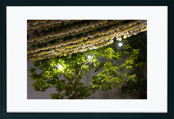 Alenquer à noite - Foto 15