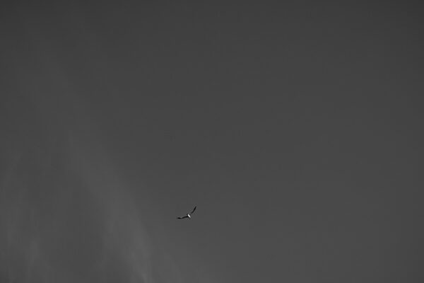 Imagens de Peniche - ID17