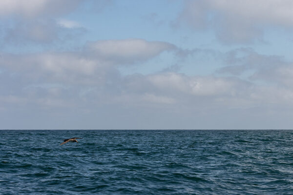 Imagens de Peniche - ID20