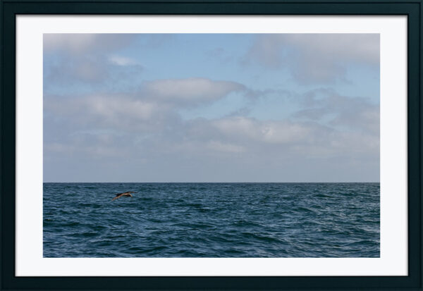 Imagens de Peniche - ID20