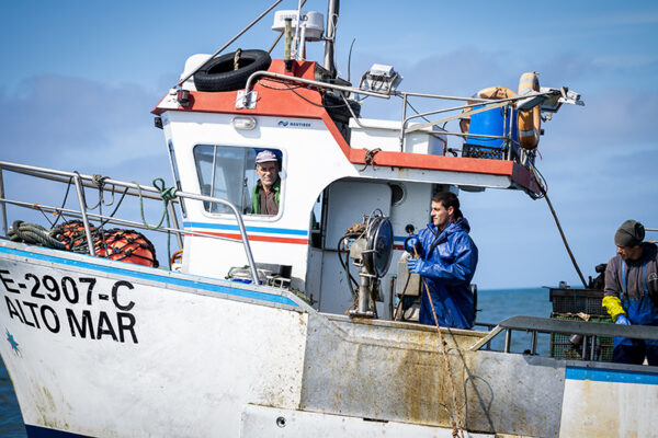 Embarcação de Pesca ao Polvo - ID3
