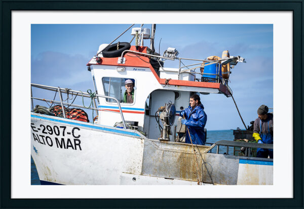 Embarcação de Pesca ao Polvo - ID3