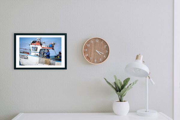 Embarcação de Pesca ao Polvo - ID3