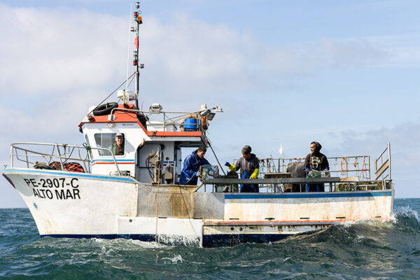 Embarcação de Pesca ao Polvo - ID4