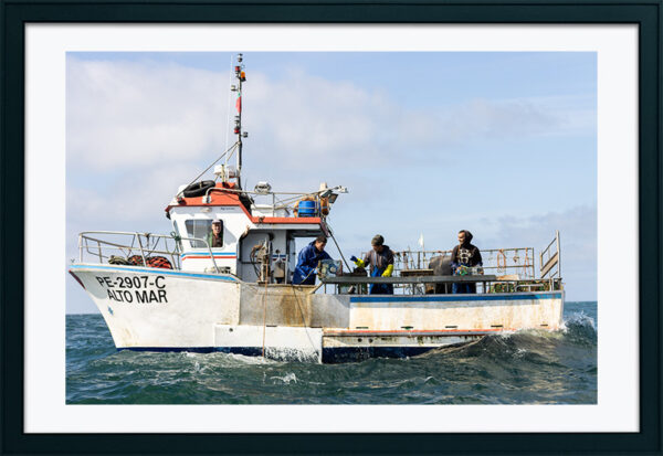 Embarcação de Pesca ao Polvo - ID4
