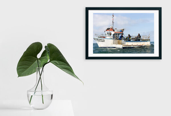 Embarcação de Pesca ao Polvo - ID4