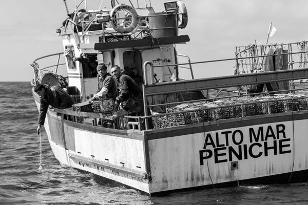Embarcação de Pesca ao Polvo - ID5