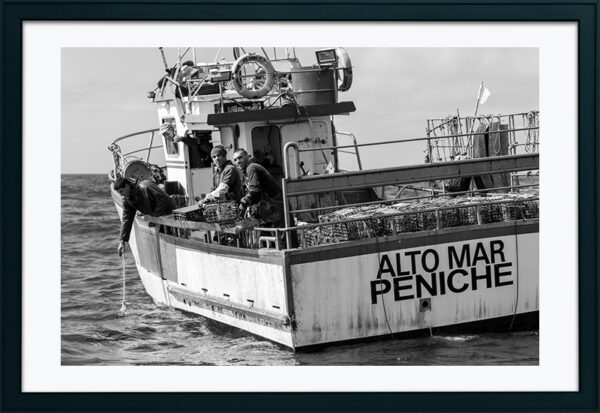 Embarcação de Pesca ao Polvo - ID5