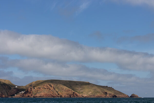 Arquipélago das Berlengas - ID3