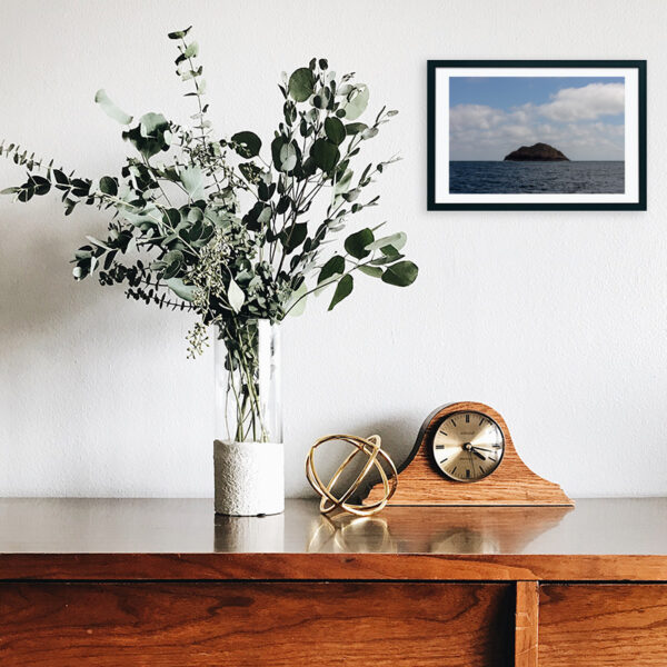 Arquipélago das Berlengas - ID7