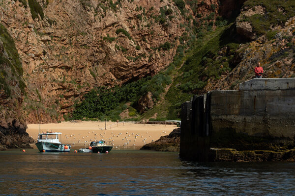 Arquipélago das Berlengas - ID10