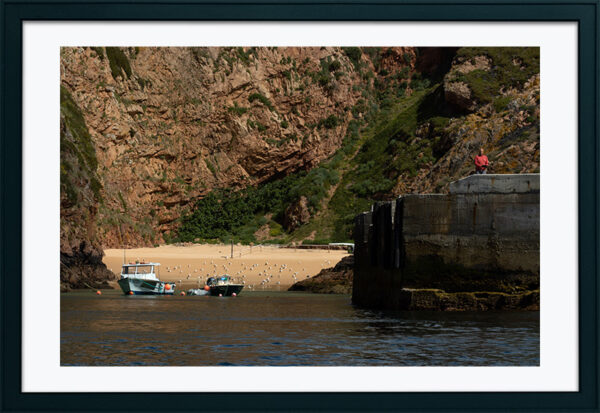 Arquipélago das Berlengas - ID10