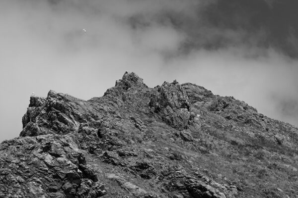 Arquipélago das Berlengas - ID12