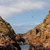 Arquipélago das Berlengas - ID13