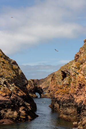 Arquipélago das Berlengas - ID13