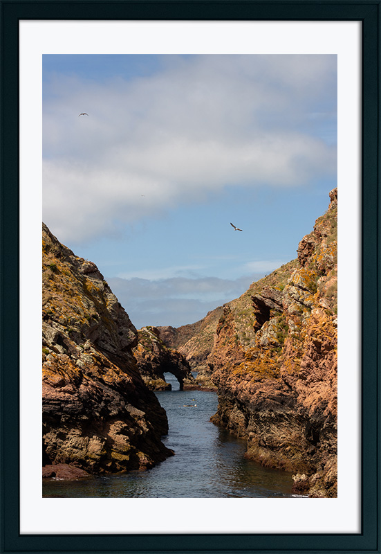 Arquipélago das Berlengas - ID13