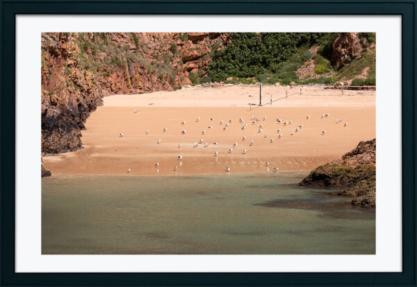 Arquipélago das Berlengas - ID14