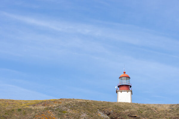 Arquipélago das Berlengas - ID18
