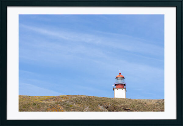 Arquipélago das Berlengas - ID18
