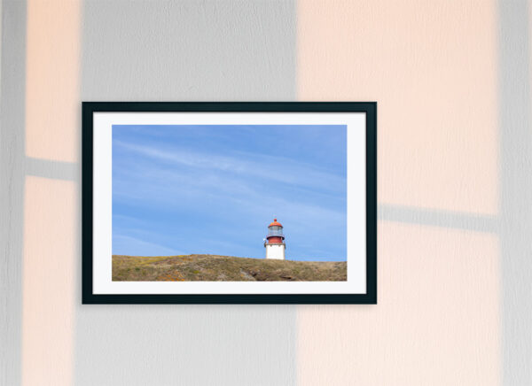 Arquipélago das Berlengas - ID18