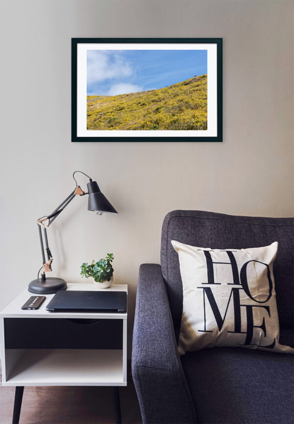 Arquipélago das Berlengas - ID19