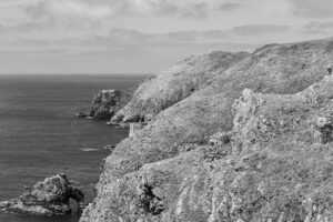 Arquipélago das Berlengas - ID20