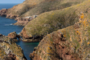 Arquipélago das Berlengas - ID22