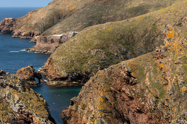 Arquipélago das Berlengas - ID22