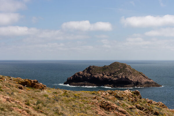 Arquipélago das Berlengas - ID23