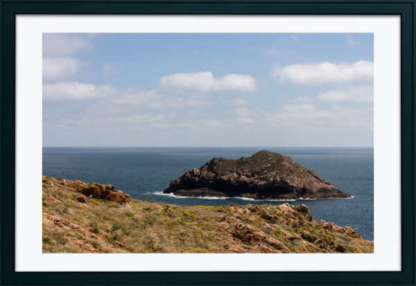Arquipélago das Berlengas - ID23