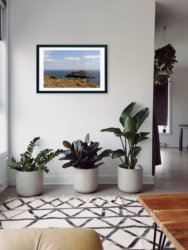 Arquipélago das Berlengas - ID23