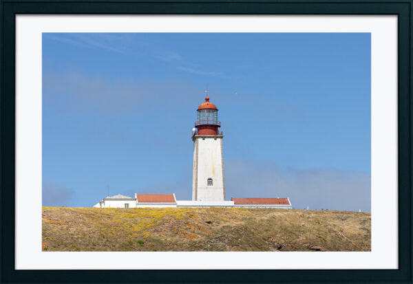 Arquipélago das Berlengas - ID25