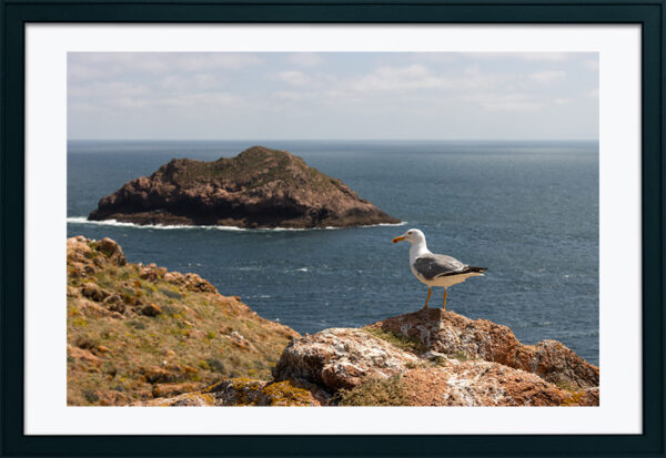 Arquipélago das Berlengas - ID27